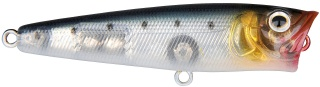 0001_Spro_Ikiru_Pop_65_[Sardine].jpg